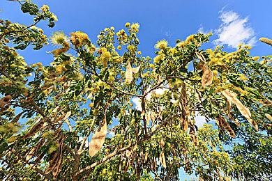 育碧Massive工作室老大卸任 曾任职17年